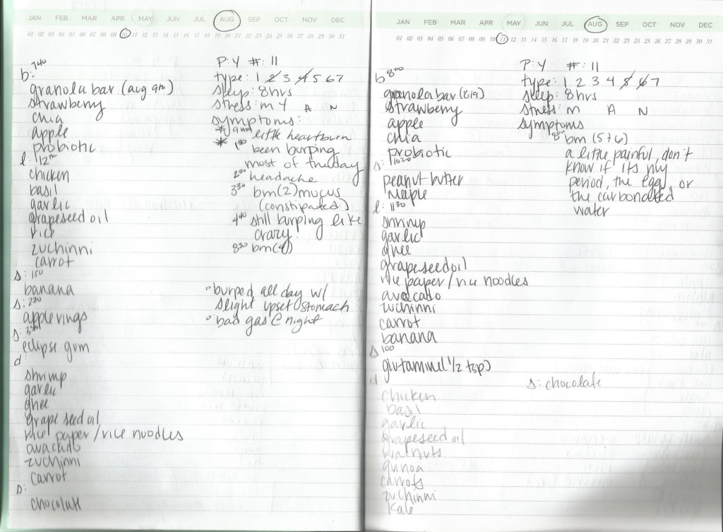 How to Food Journal Series Part 3 - How to Track