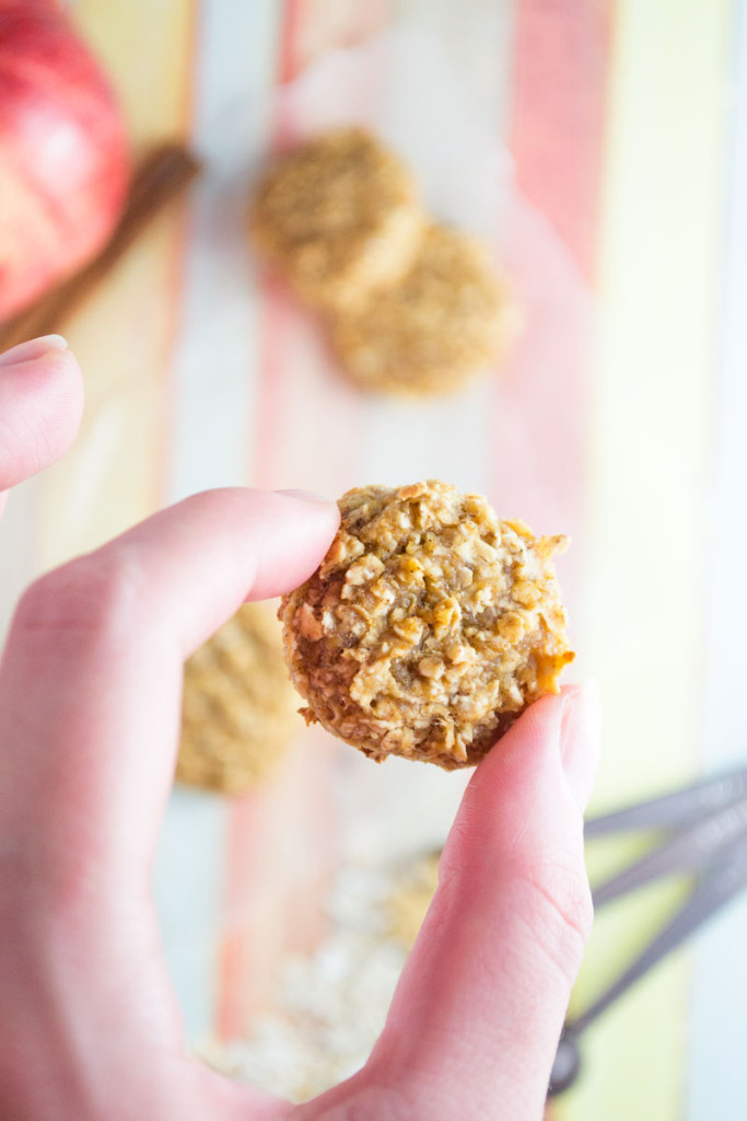 Homemade oatmeal bites that will rival anything you find in stores. Ground ginger and mollases gives these mini bites a nice kick to start your day off right. - OCD Kitchen